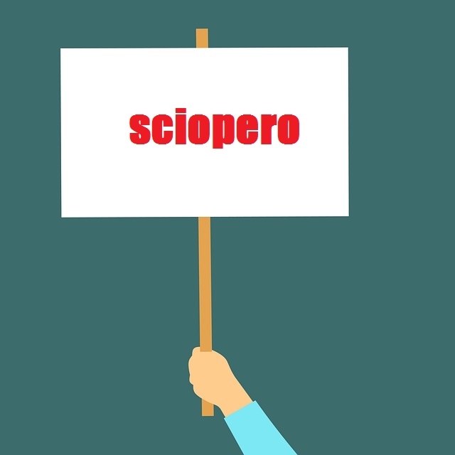 Sciopero di lunedì 30 maggio – Sospensione dei servizi scolastici integrativi