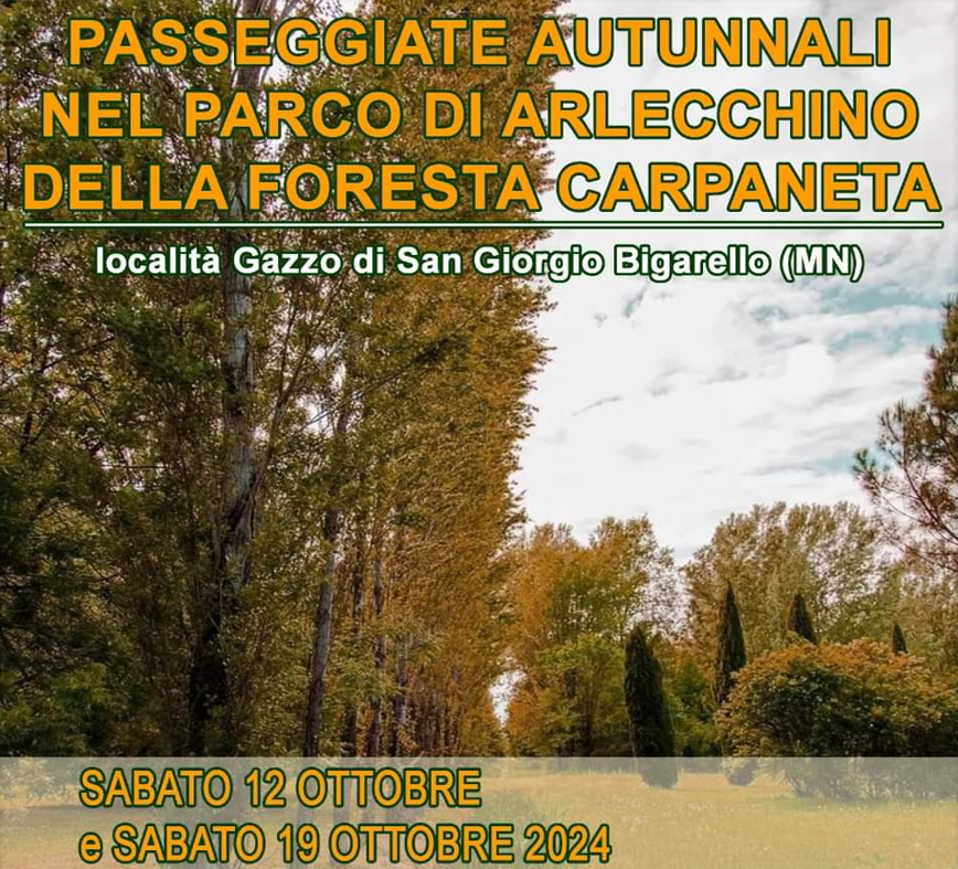 Passeggiate autunnali nel Parco di Arlecchino della Foresta Carpaneta