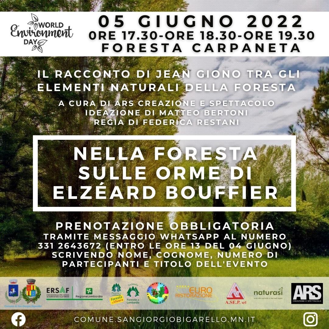 Nella foresta sulle orme di Elzéard Bouffier - Giornata Mondiale dell'Ambiente