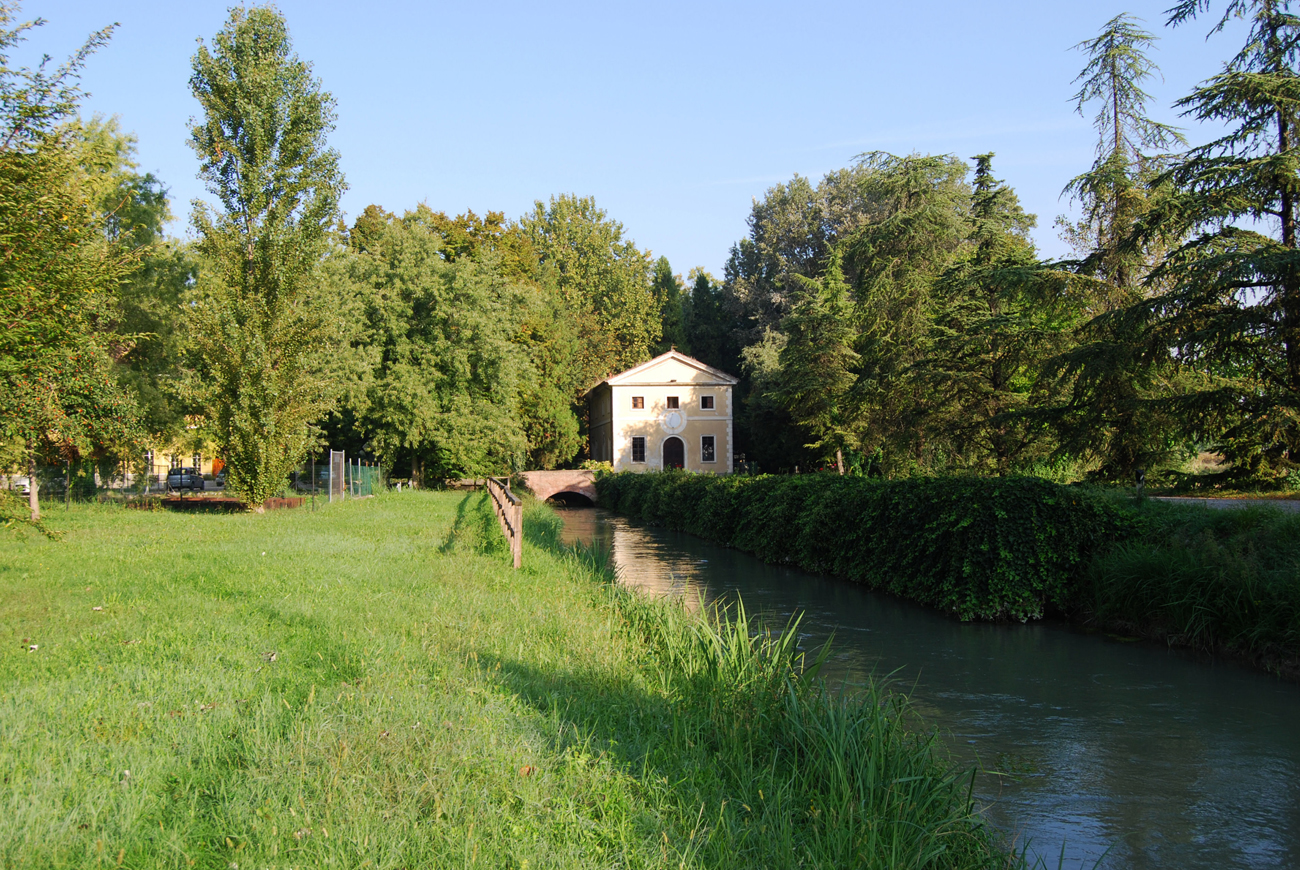 Foresta della Carpaneta