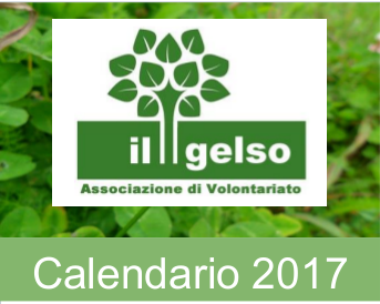 ”Alla ricerca delle erbe spontanee commestibili: escursione sulle colline moreniche”