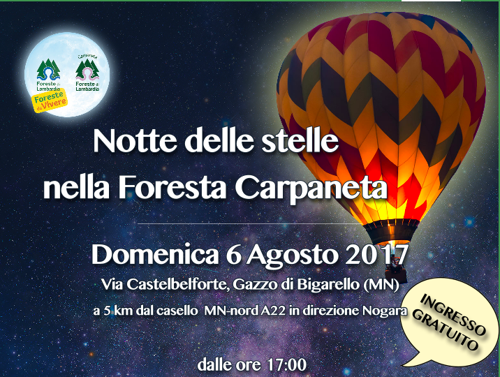 Notte delle stelle nella Foresta Carpaneta 