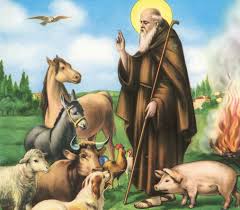 Animali in festa per Sant’Antonio