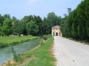  S-Carpaneta. Camminata tra querce e mimose (Eventi sportivi)