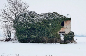 Fuori dalla mia finestra (Mostre Fotografiche)