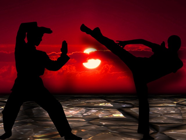 Kick boxing e karate