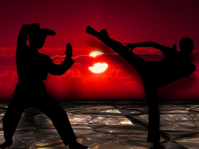martial-arts-291049_640