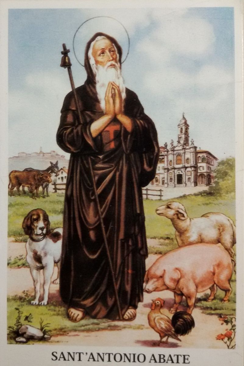 Tradizionale benedizione degli animali: "Gli animali in festa per Sant'Antonio" Domenica 22 gennaio 2017