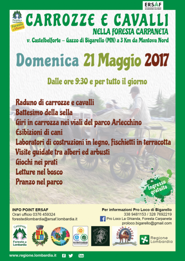 Carrozze e Cavalli in Carpaneta  - 21  Maggio 2017