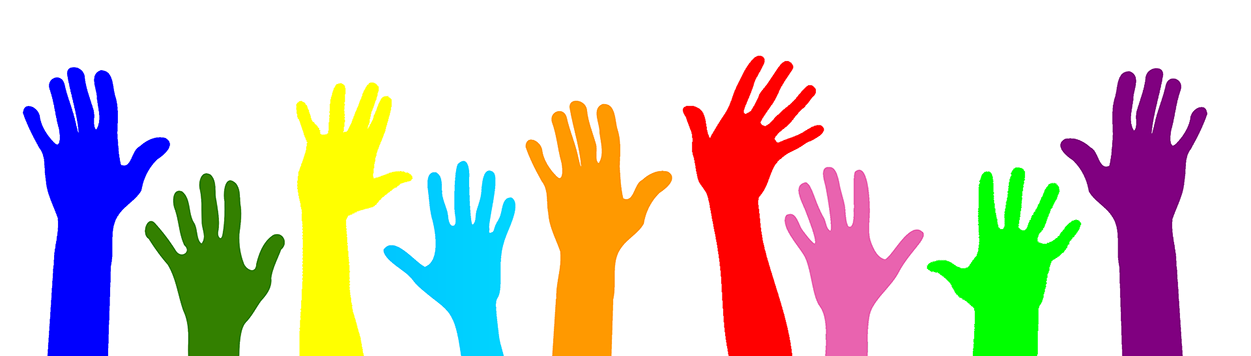 Festa del Volontariato (Sagre e Manifestazioni)