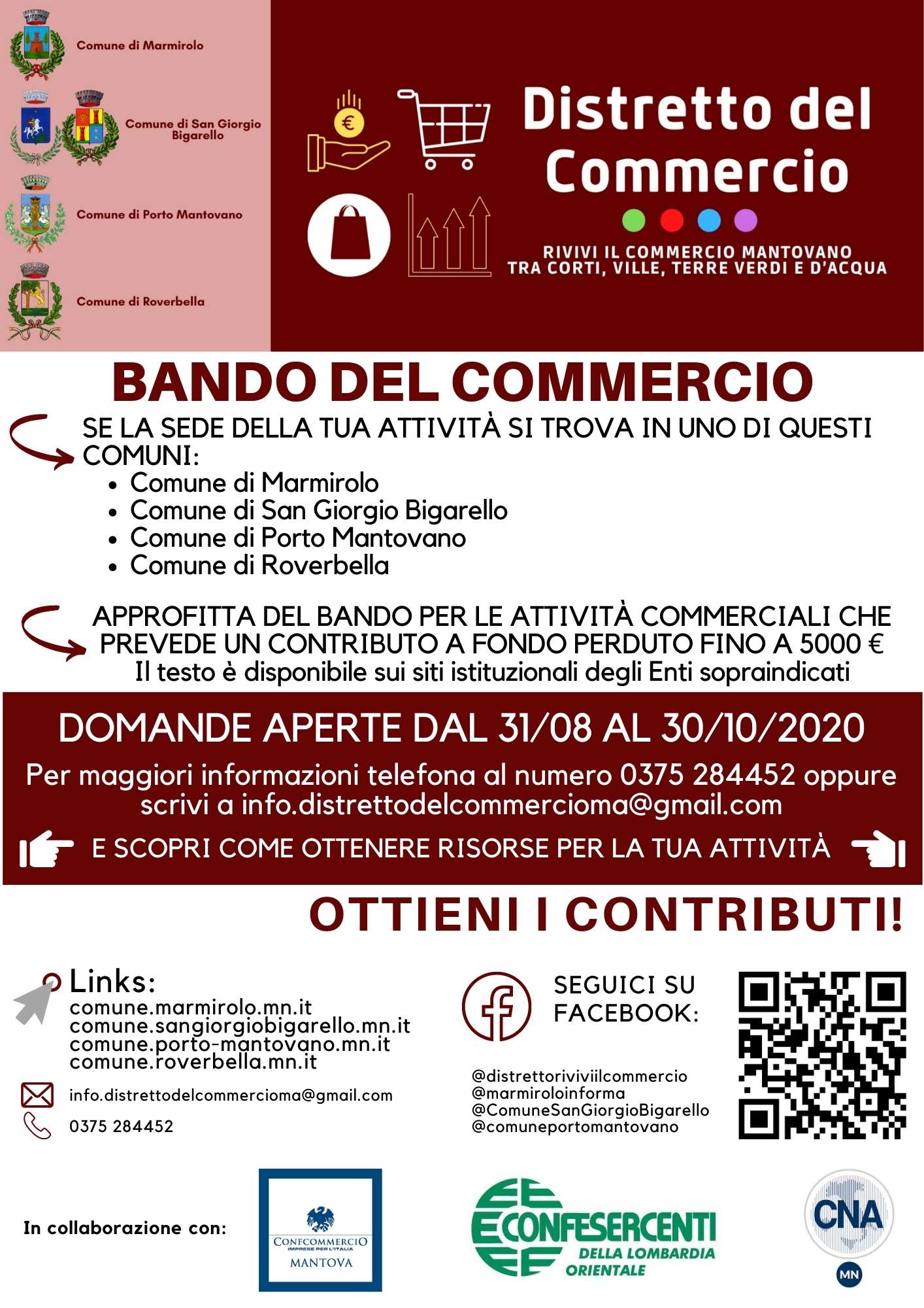 Bando Distretto del Commercio "Rivivi il commercio mantovano tra corti, ville, terre verdi e d'acqua" 