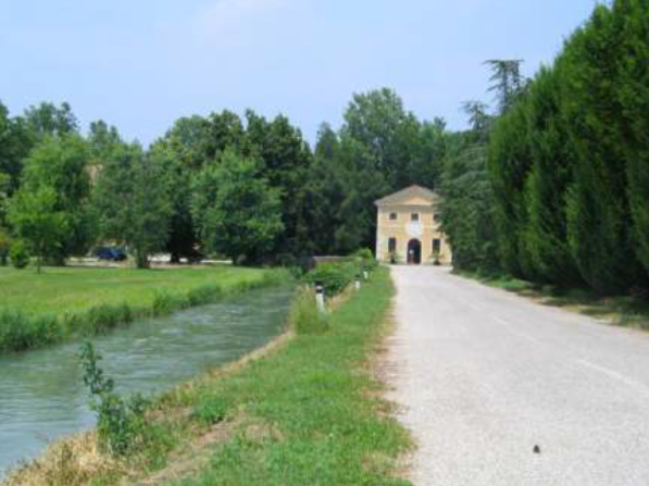 S-Carpaneta. Camminta tra querce e mimose