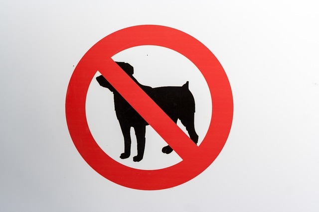 Ordinanza di divieto accesso cani nel cortile della scuola primaria Montalcini