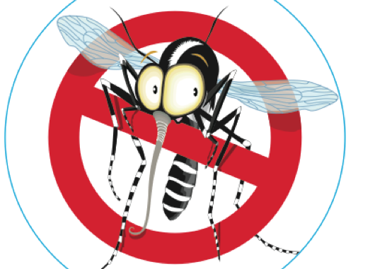 Distribuzione di larvicida zanzare in compresse effervescenti