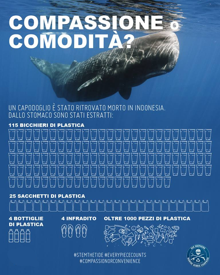 Ficcatelo in Tasca! #31 - Compassione o comodità?