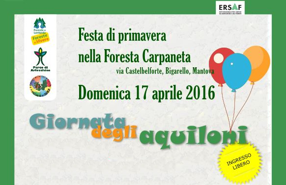 Giornata degli aquiloni - Festa di primavera nella Foresta Carpaneta (MN), Iniziativa del Contratto di Foresta