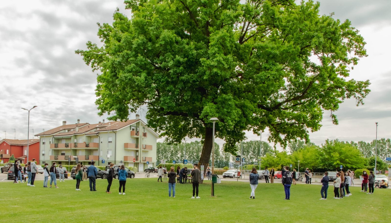 L'albero della Legalità: i lavori degli studenti e delle studentesse di San Giorgio Bigarello