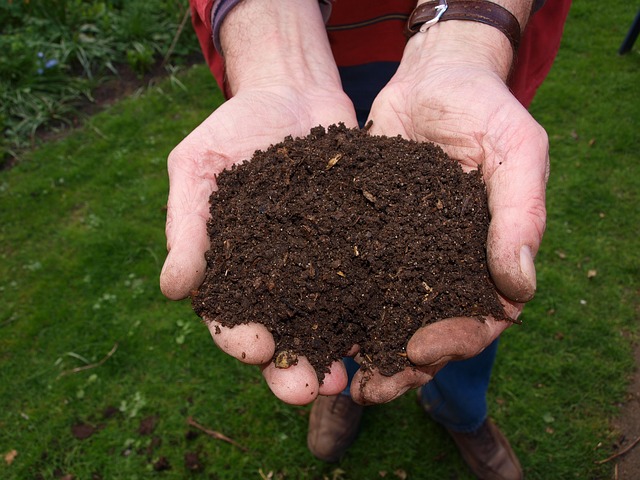 Dal 16 marzo 2019 Distribuzione gratuita Compost
