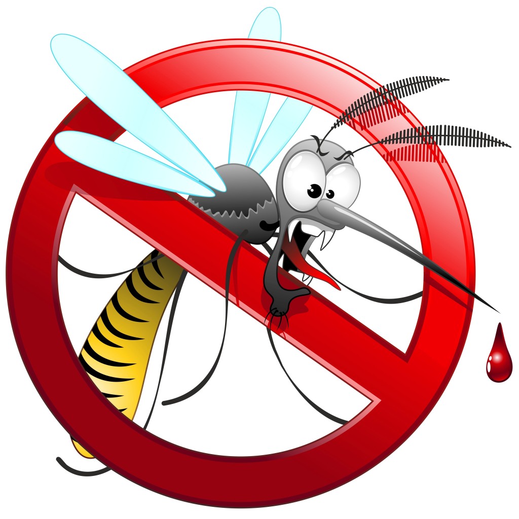 Disinfestazione Zanzare_4 giugno